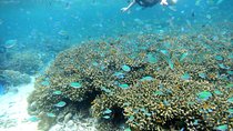 Twin Island Snorkeling Adventure at Hiltungan and Nalsuan