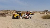 El Gouna Sahara Dune Buggy Morning Adventure