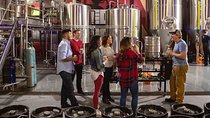 Las Vegas Brewery Tour by Party Bus w/ 3 Flights of Craft Beer