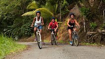 Rainforest Cycling Adventure in St. Lucia