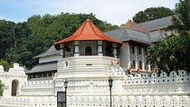 Kandy City tour from Colombo or Negombo (ALL INCLUSIVE)