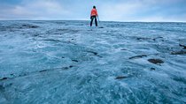 Guided Glacier Walk 