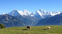 Private Interlaken and Jungfrau Region tour from Lucerne or Berne