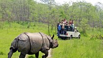 Jungle Safari Tour in Chitwan National Park