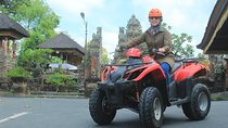 Bali ATV with Swing 