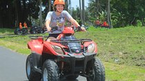 Bali Sunrise Trekking with ATV Adventures