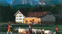 Swiss Cheese, Chocolates and Mountains Small-Group Tour from Zurich