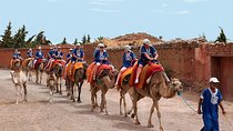 Sunset Tour & Dromedary Ride At Palm Grove Of Marrakech