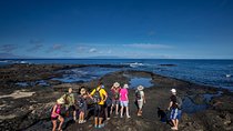 Seymour North Island & Las Bachas Full-Day Tour