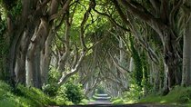 Private Game of Thrones including Giant's Causeway Causeway Coast Rope Bridge