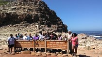 Cape Town to Cape Point Private Day Tour