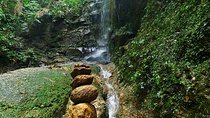 Tijuca Forest Hiking Tour including Waterfalls