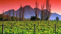 Cape Winelands and the Garden Route - 5 Days
