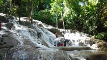 Dunn's River Falls excursion from Montego Bay