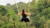 Ubud Village, Rice Terrace and Ubud Swing with It Bird Nest