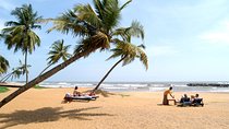 Shore Excursion from Colombo port to Negombo Beach & back for 1 to 2 People
