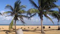 Shore Excursion from Colombo port to Negombo Beach & back for 7 to12 People