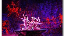 Beijing Acrobatics Night Show