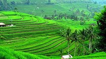 Full Day Bali Natural Beauty and Lake Temple Tour