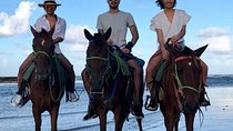 Sunset beach horsebackriding Punta Cana 