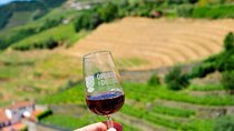  Private off the beaten Douro Valley Wine Tour 