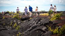 Evening Volcano Explorer from Hilo