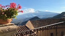 Mt Etna and Winery Lunch Big Day Out Tour - 3 people minimum