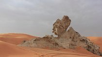 Camel Rock Desert safari Dubai with bbq Dinner camel ride sand boarding & more