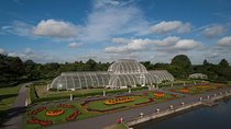 Kew Gardens Entrance Ticket