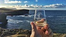 Private Highland Whisky Tour- Three distilleries - From Edinburgh