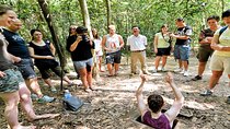  Cu Chi Tunnels half day tours