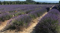The hilltop villages of the Luberon