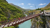 Queenstown Guided E-bike Wine Tour 