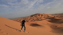 Sahara Activities Package: Quads, Camel Riding, Sandboarding, Camp Overnight