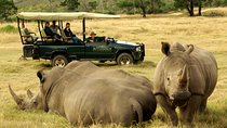 3 Day Garden Route Highlights and Safari with Private Transfers