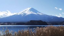 Mt. Fuji Day Tour by Private Minivan with Licensed Tour Guide and Driver