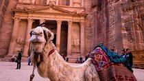 Petra & Wadi Rum - One day tour