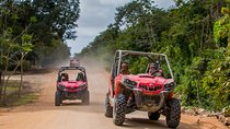 Jungle Buggy Tour from Playa del Carmen Including Cenote Swim