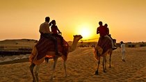 Dubai afternoon Desert Safari Private(Weddings & Honeymoon)