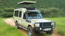 5 Days Safari Experience, 2 Nights Amboseli and 2 Nights Maasai Mara