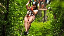 Adrenaline Day! ATV (Single) Ziplines & Cenote Swim From Cancun