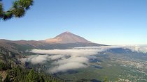 Teide essential Shore Excursion VIP TOUR