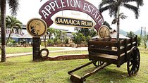 Appleton Estate Rum Tour and Tasting from Negril