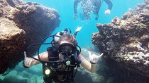 Beginner Scuba Diving Adventure with Videos in Honolulu