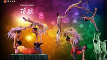 Chaoyang Theater Acrobatic Show with round-trip transfer