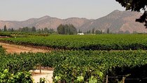 Premium Wine & Cheese Half Day Trip to Concha y Toro Vineyard from Santiago