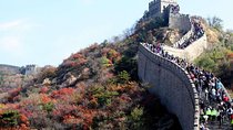 Beijing Mutianyu or Badaling Great Wall Private Tour with Options