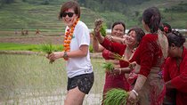 Rice Plantation Experience in Bhaktapur