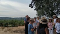 Private Wine & Cava Tasting Tour In Penedes with hotel pick up