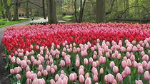 Private Day Trip to Keukenhof Gardens with Entrance Tickets